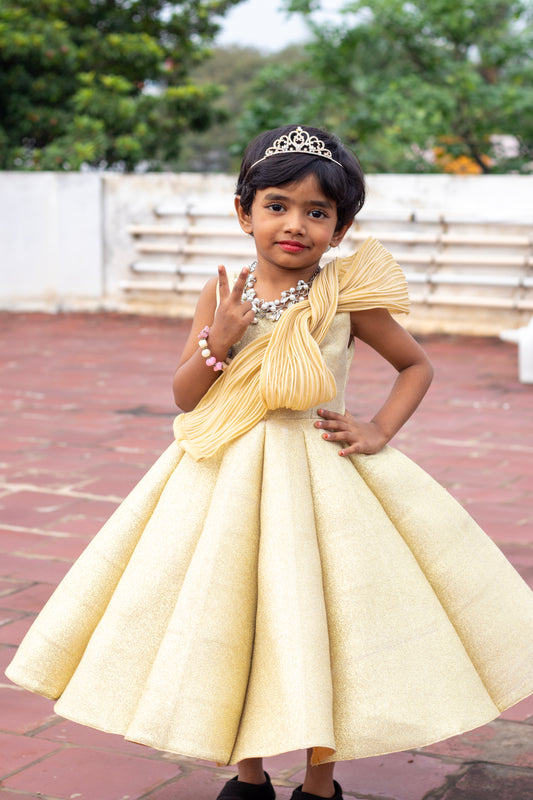 Shimmering Golden Panelled Gown