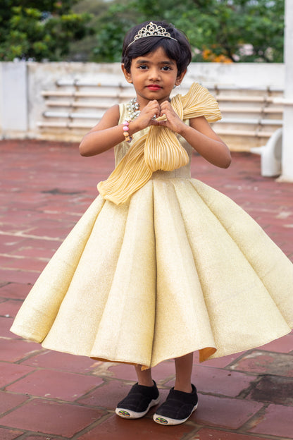 Shimmering Golden Panelled Gown