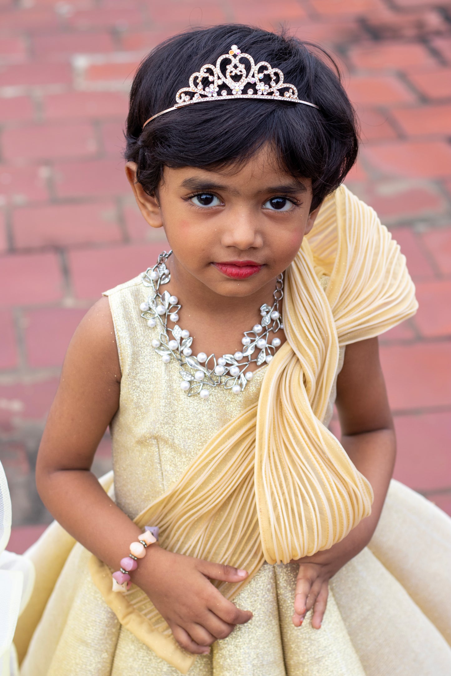Shimmering Golden Panelled Gown